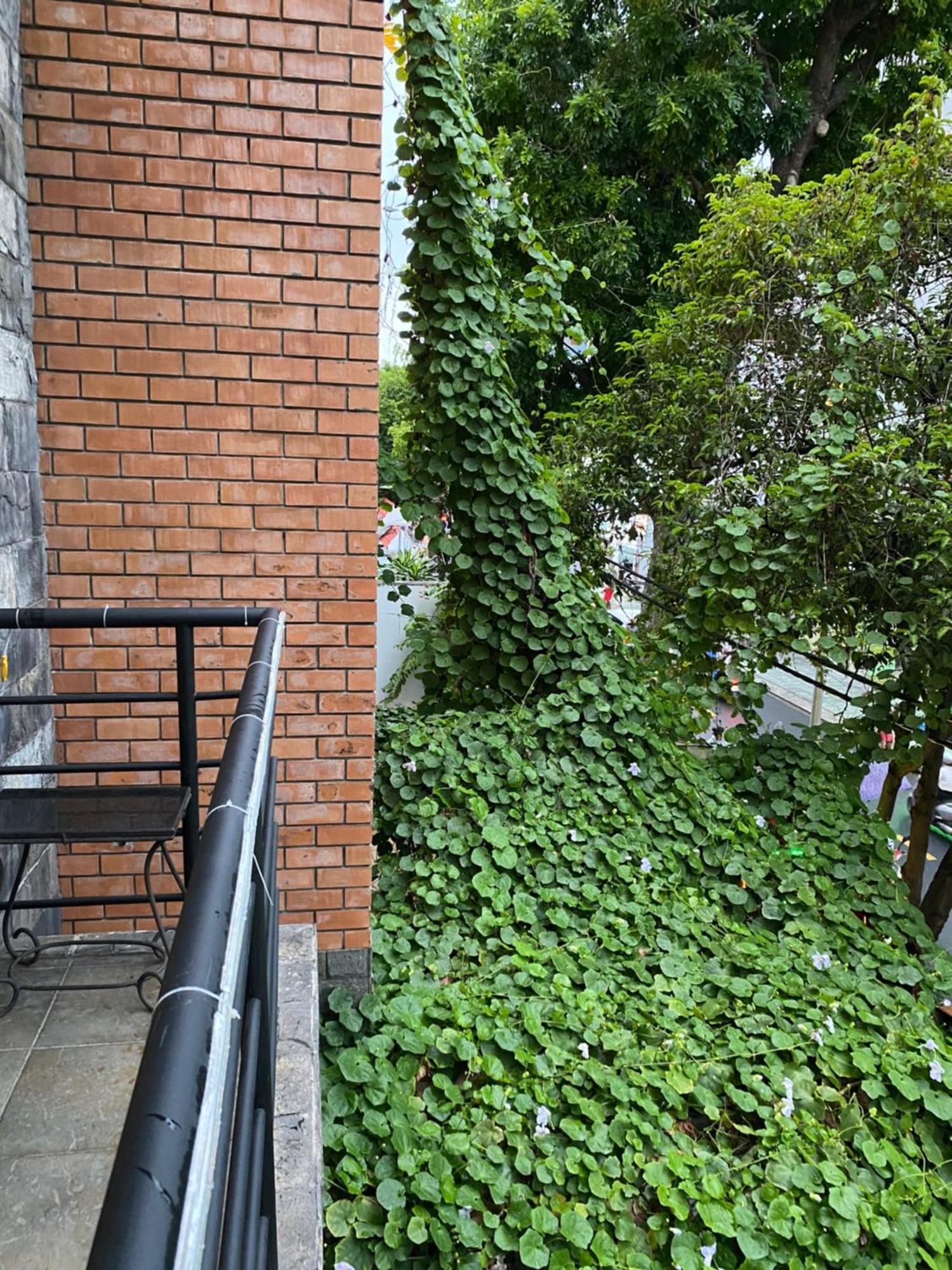 Khach San Minh Chau - Hoa Hung Hotel Ho Şi Min Exterior foto